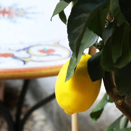 Appartamento La Terrazza dei Limoni Seregno Esterno foto