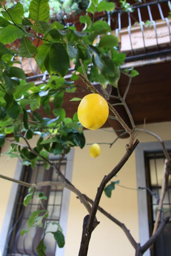 Appartamento La Terrazza dei Limoni Seregno Esterno foto