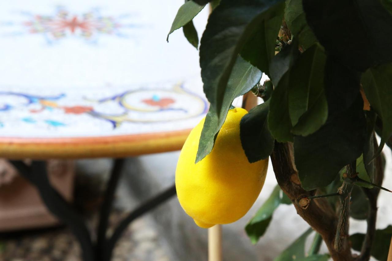 Appartamento La Terrazza dei Limoni Seregno Esterno foto